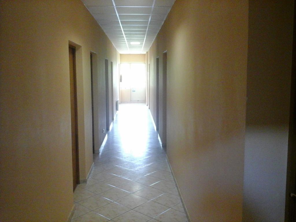 Skaistaziede Šiauliai Quarto foto
